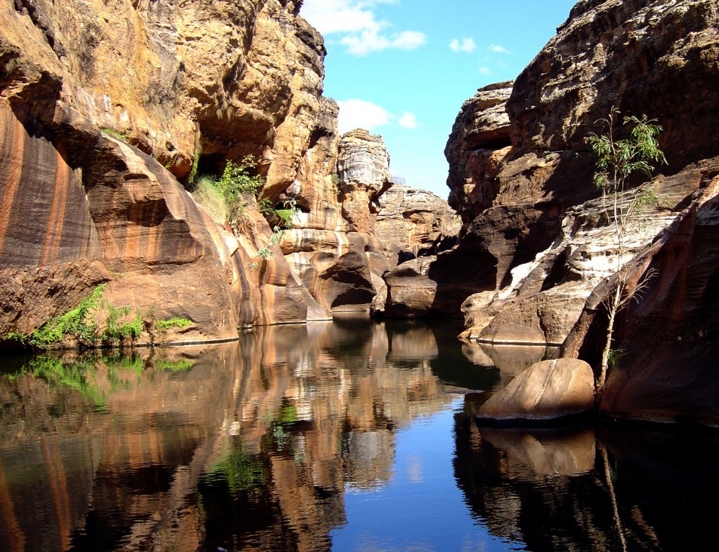 Cobbold Gorge.  An unexpected oasis.